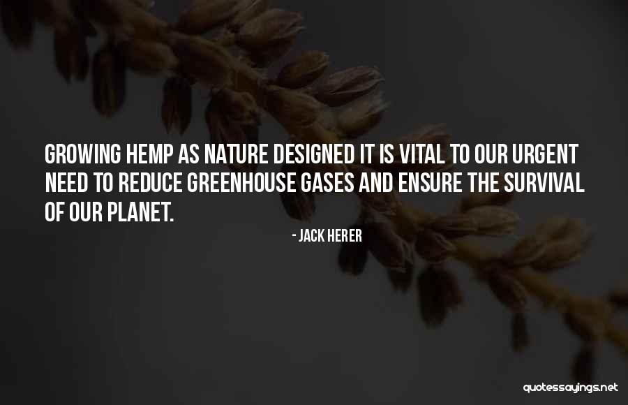 Psichiatra Pancheri Quotes By Jack Herer Psichiatra Pancheri Quotes By Jack Herer
