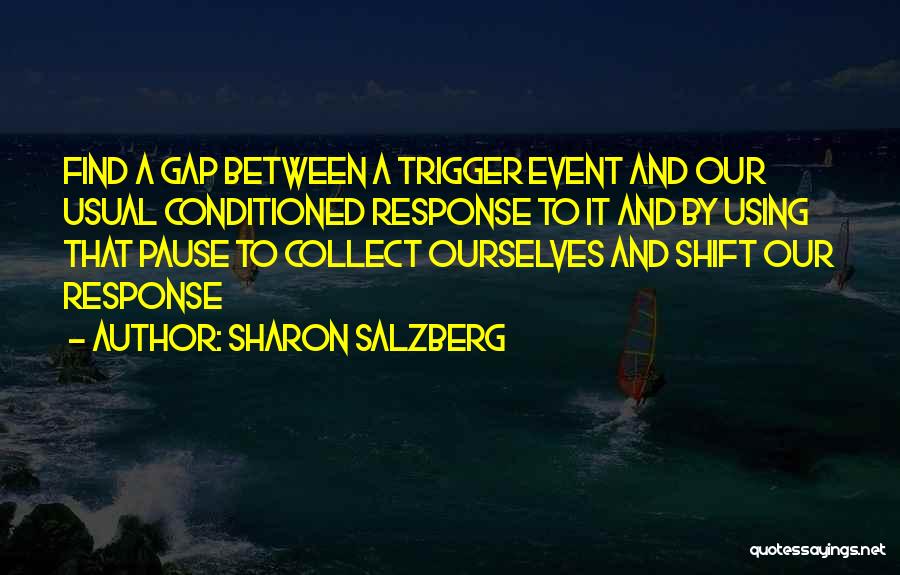 Psihoyos Boulder Quotes By Sharon Salzberg