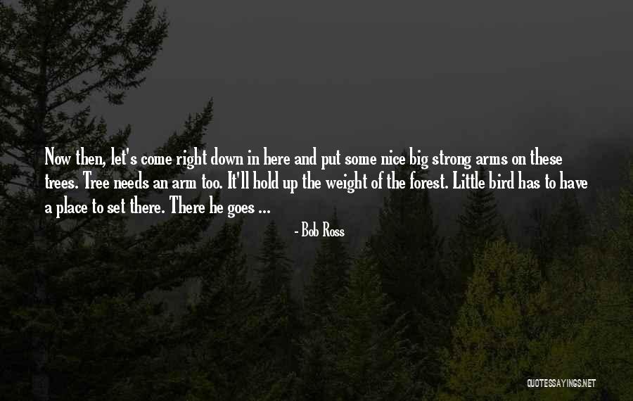 Psiquicos Definicion Quotes By Bob Ross Psiquicos Definicion Quotes By Bob Ross