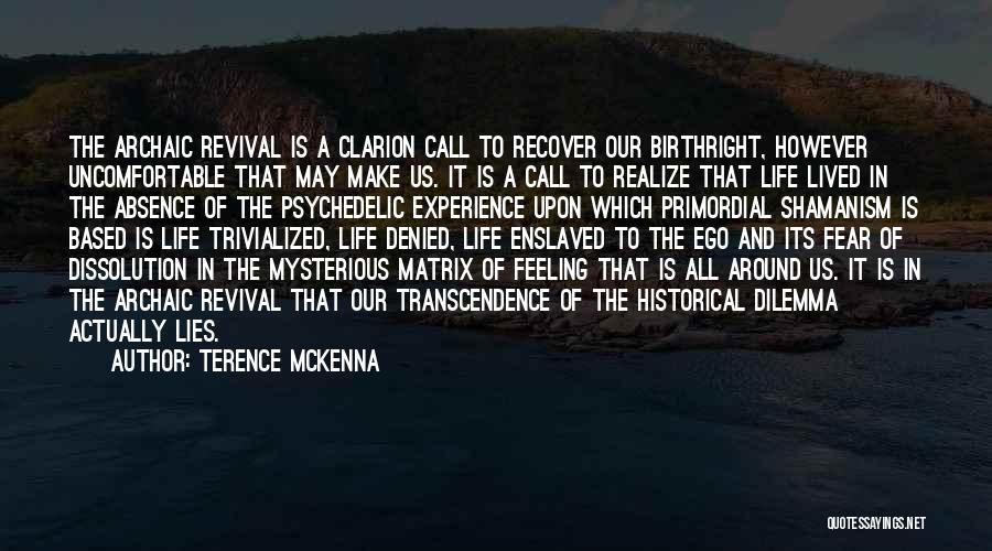 Psychedelic Experience Quotes By Terence McKenna