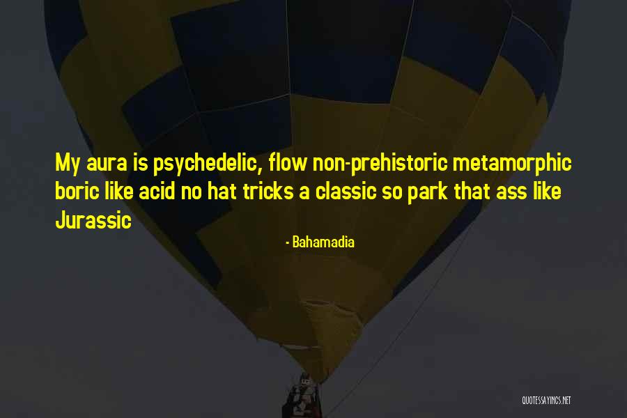 Psychedelic Quotes By Bahamadia