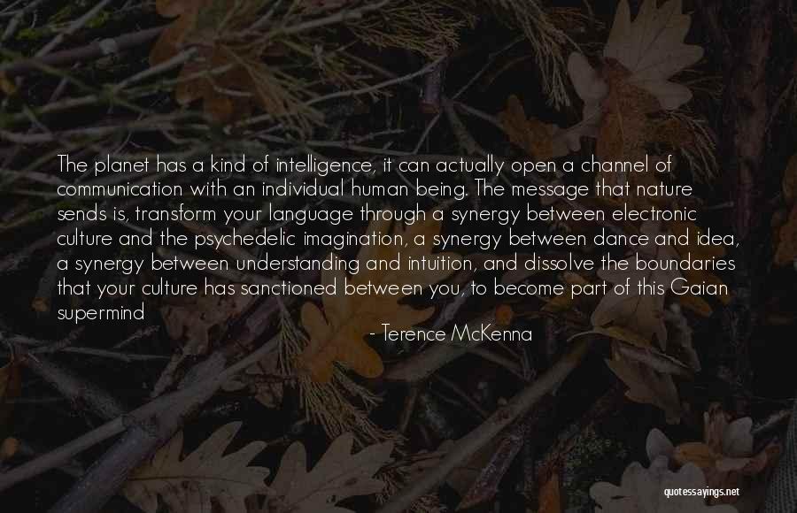 Psychedelic Quotes By Terence McKenna