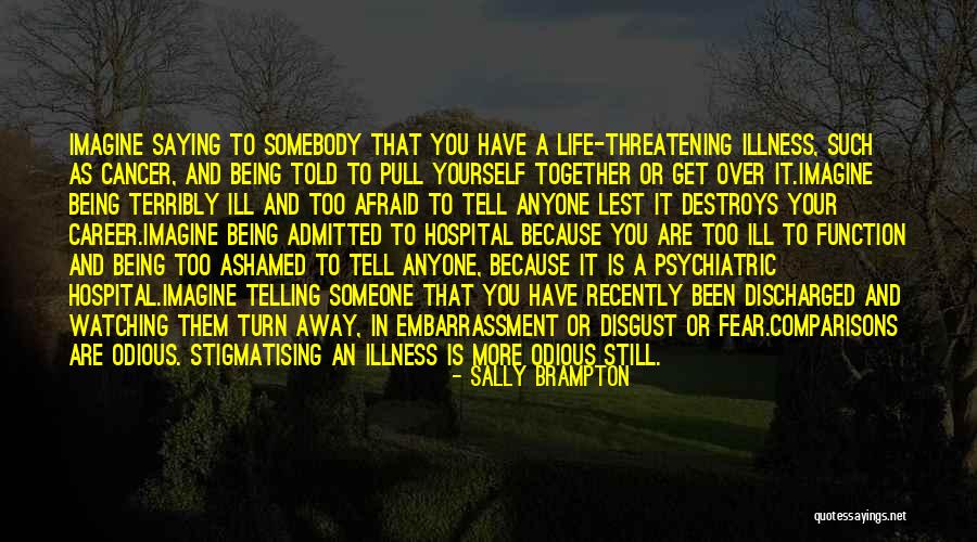 Psychiatric Hospital Quotes By Sally Brampton