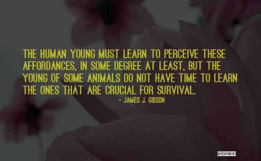 Psycho Stalkers Quotes By James J. Gibson Psycho Stalkers Quotes By James J. Gibson