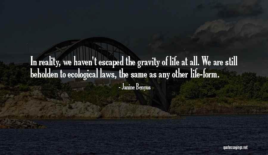 Psycho Taxidermy Quotes By Janine Benyus Psycho Taxidermy Quotes By Janine Benyus