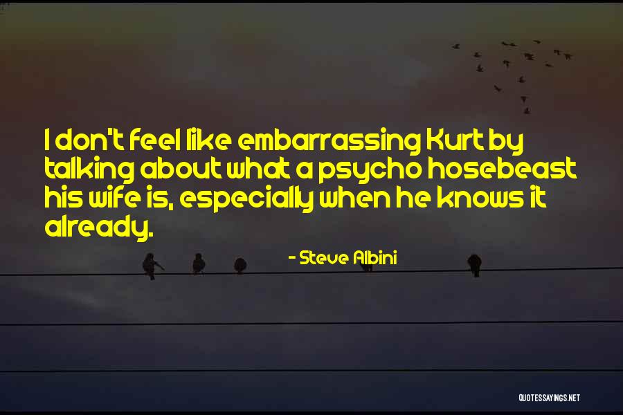 Psycho Wife Quotes By Steve Albini Psycho Wife Quotes By Steve Albini