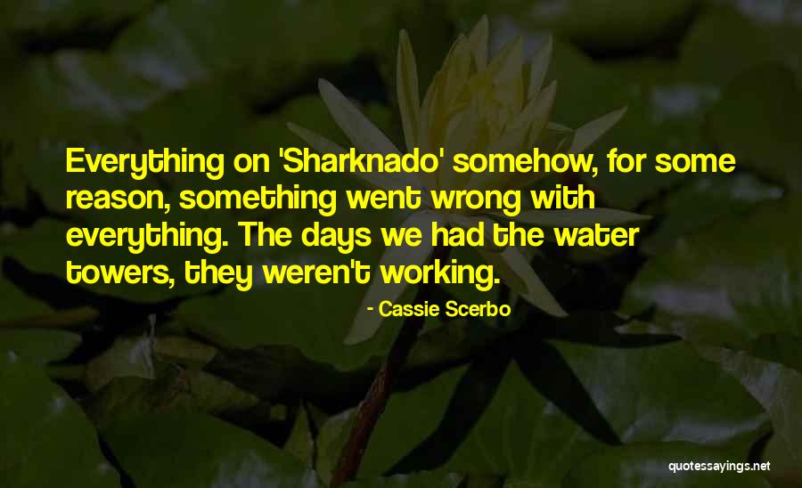 Psychoanalysts In Indianapolis Quotes By Cassie Scerbo Psychoanalysts In Indianapolis Quotes By Cassie Scerbo