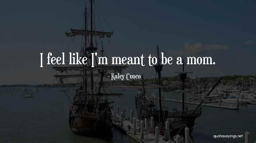 Psychologische Typen Quotes By Kaley Cuoco Psychologische Typen Quotes By Kaley Cuoco