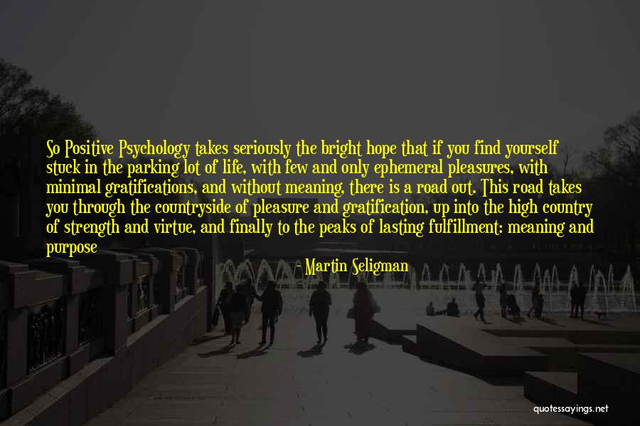 Psychology And Quotes By Martin Seligman