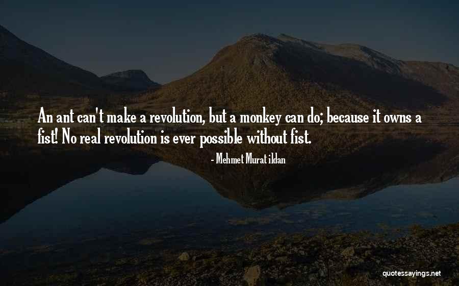 Psychopathology Life Quotes By Mehmet Murat Ildan Psychopathology Life Quotes By Mehmet Murat Ildan
