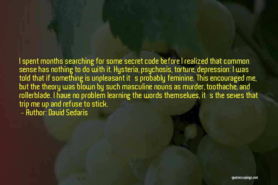 Psychosis Quotes By David Sedaris