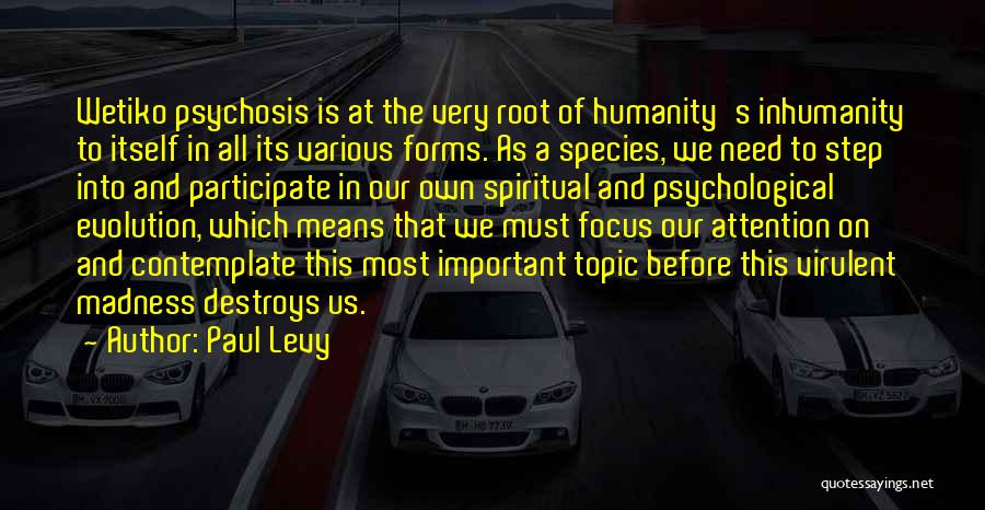 Psychosis Quotes By Paul Levy