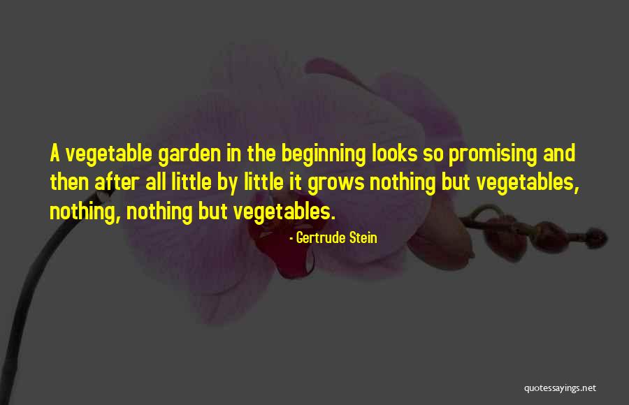Psychotherapists Rochester Quotes By Gertrude Stein Psychotherapists Rochester Quotes By Gertrude Stein