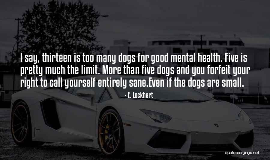 Psychotherapy Quotes By E. Lockhart Psychotherapy Quotes By E. Lockhart