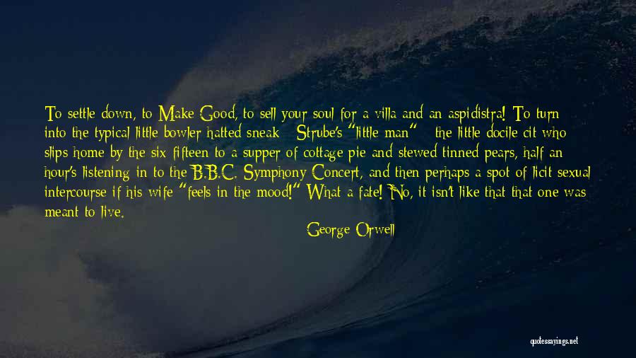 Ptasznik Czerwonokolanowy Quotes By George Orwell Ptasznik Czerwonokolanowy Quotes By George Orwell