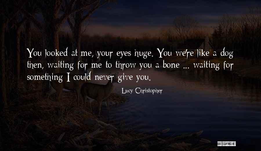 Ptiy Party Quotes By Lucy Christopher Ptiy Party Quotes By Lucy Christopher