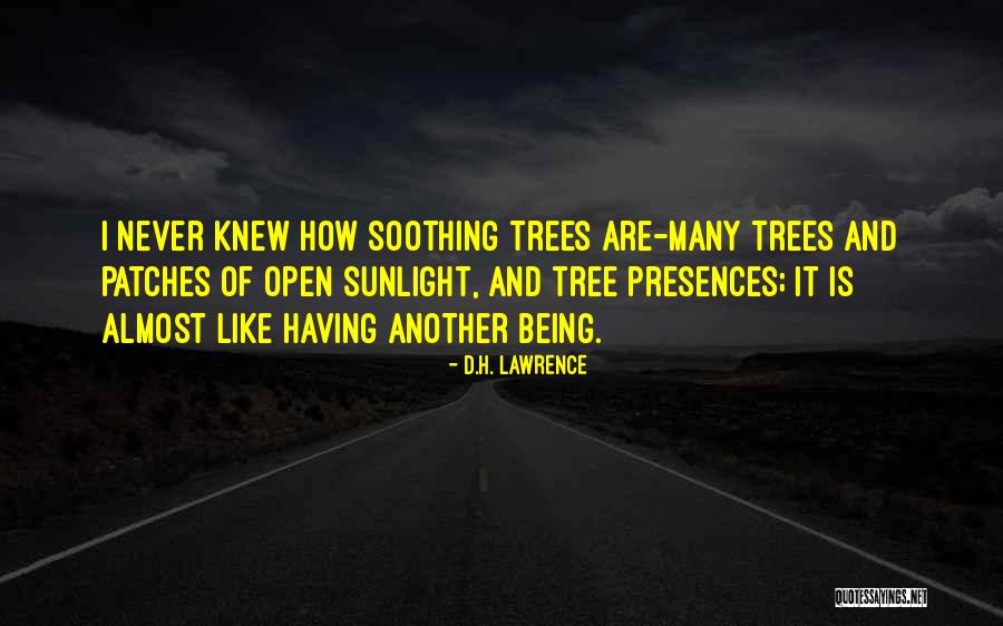 Ptkm100 Quotes By D.H. Lawrence Ptkm100 Quotes By D.H. Lawrence