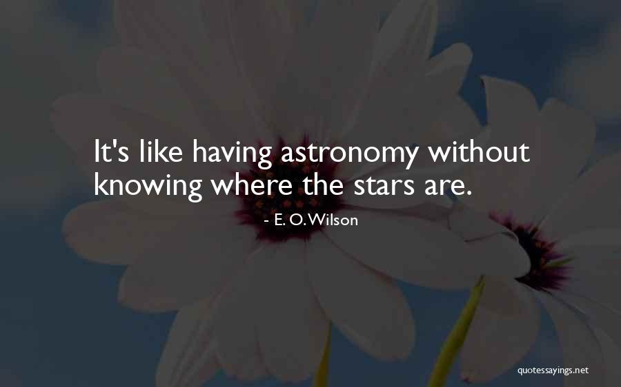 Ptolemy Mathematician Quotes By E. O. Wilson Ptolemy Mathematician Quotes By E. O. Wilson
