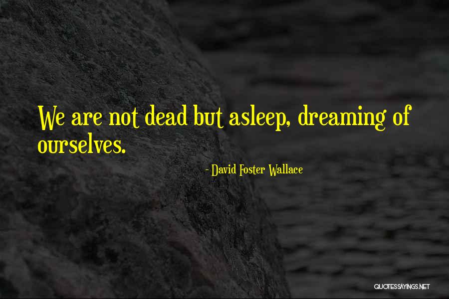 Pu Tam Sve Snje No Kraljevstvo Quotes By David Foster Wallace Pu Tam Sve Snje No Kraljevstvo Quotes By David Foster Wallace