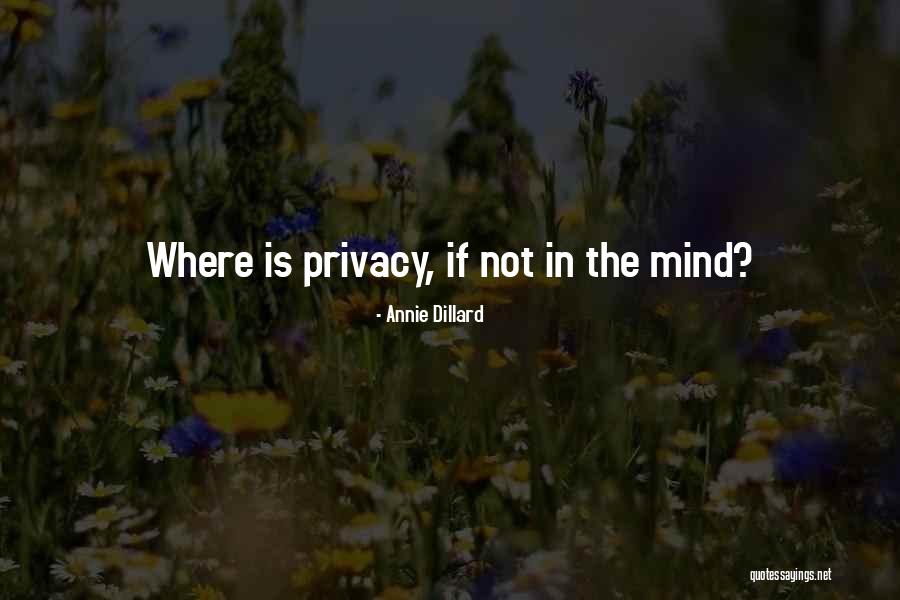 Pub Talk Quotes By Annie Dillard Pub Talk Quotes By Annie Dillard