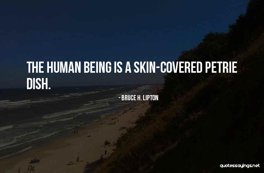 Puberteit Gedrag Quotes By Bruce H. Lipton