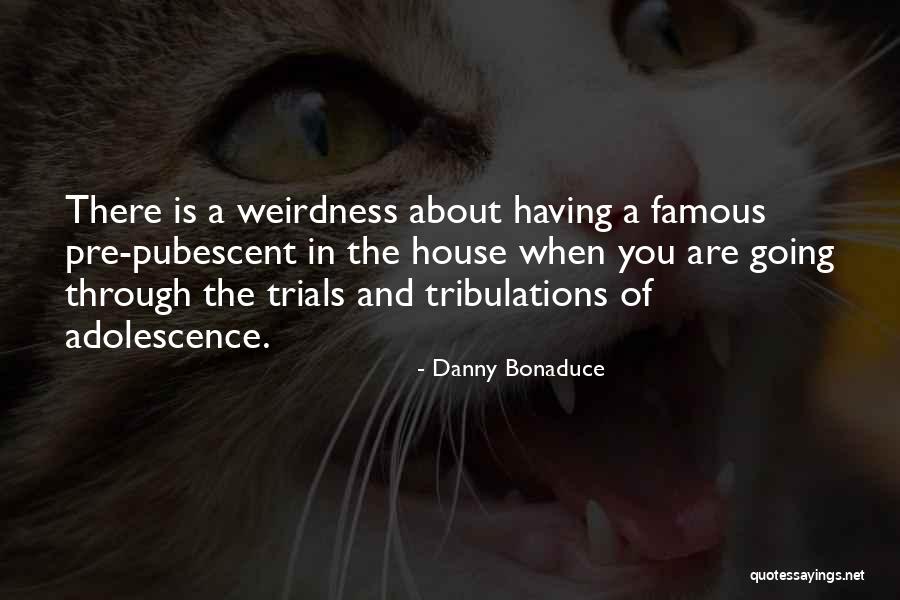 Pubescent Quotes By Danny Bonaduce Pubescent Quotes By Danny Bonaduce
