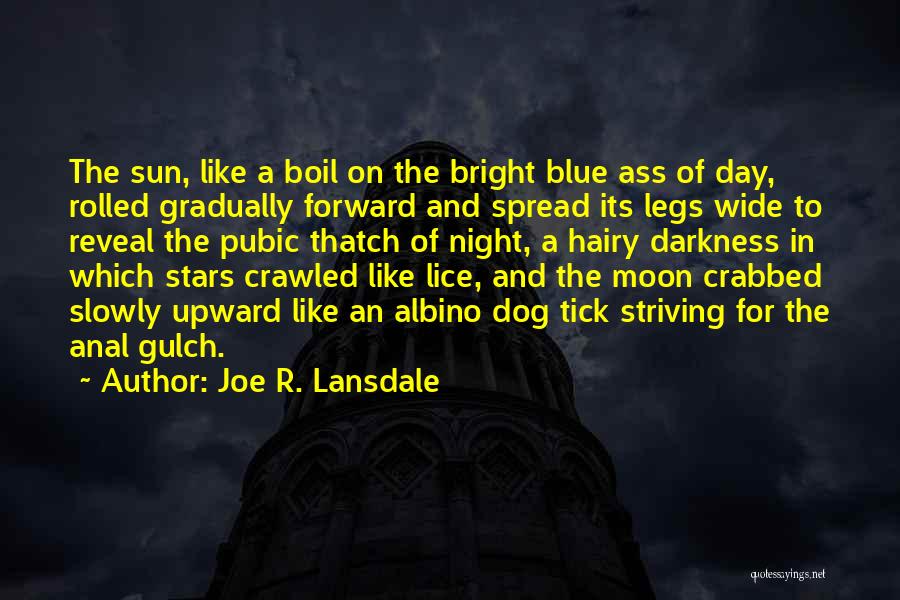Pubic Lice Quotes By Joe R. Lansdale