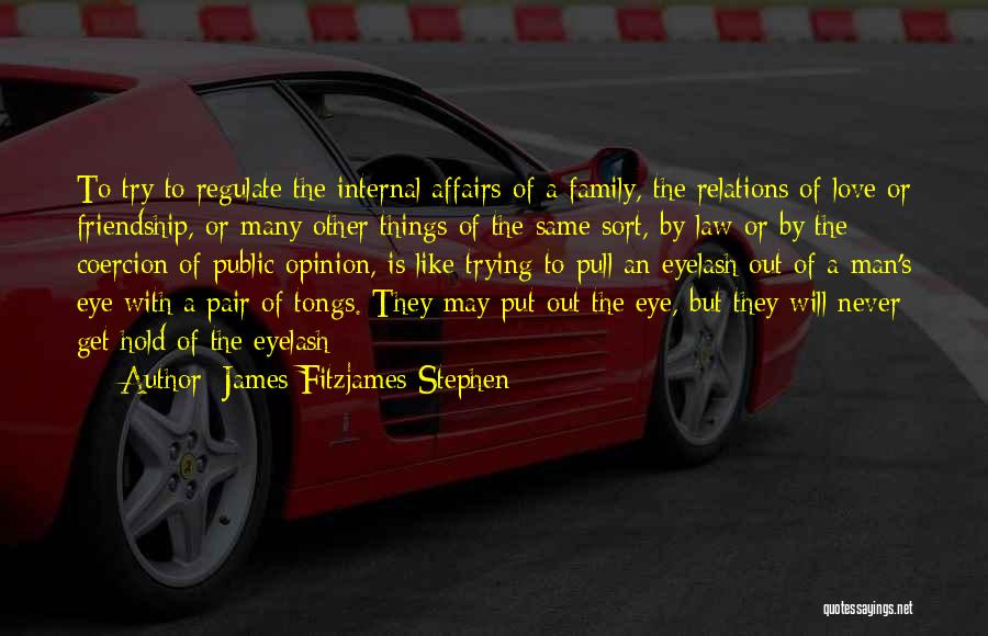 Public Affairs Quotes By James Fitzjames Stephen