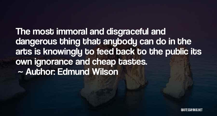 Public Art Quotes By Edmund Wilson