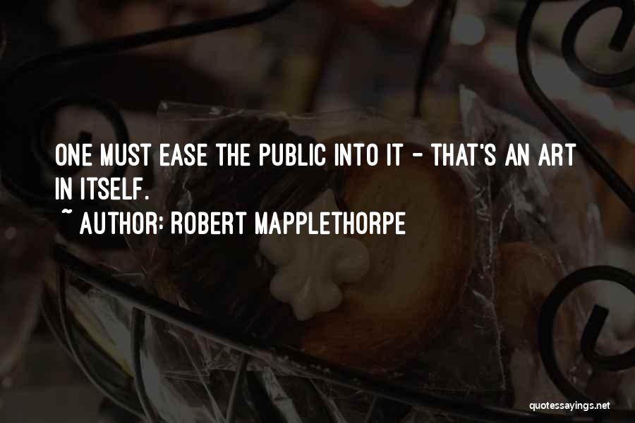 Public Art Quotes By Robert Mapplethorpe