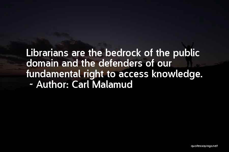 Public Defenders Quotes By Carl Malamud