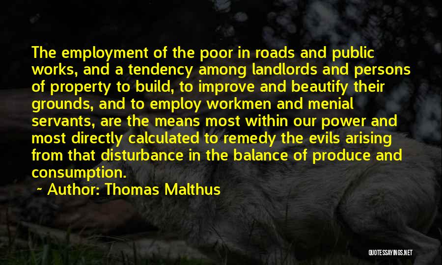 Public Disturbance Quotes By Thomas Malthus