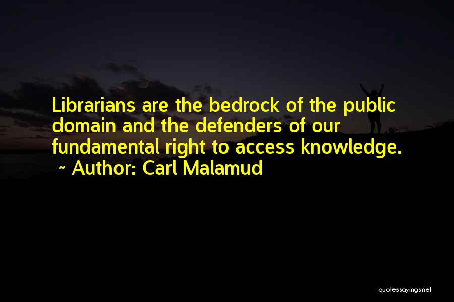 Public Domain Quotes By Carl Malamud