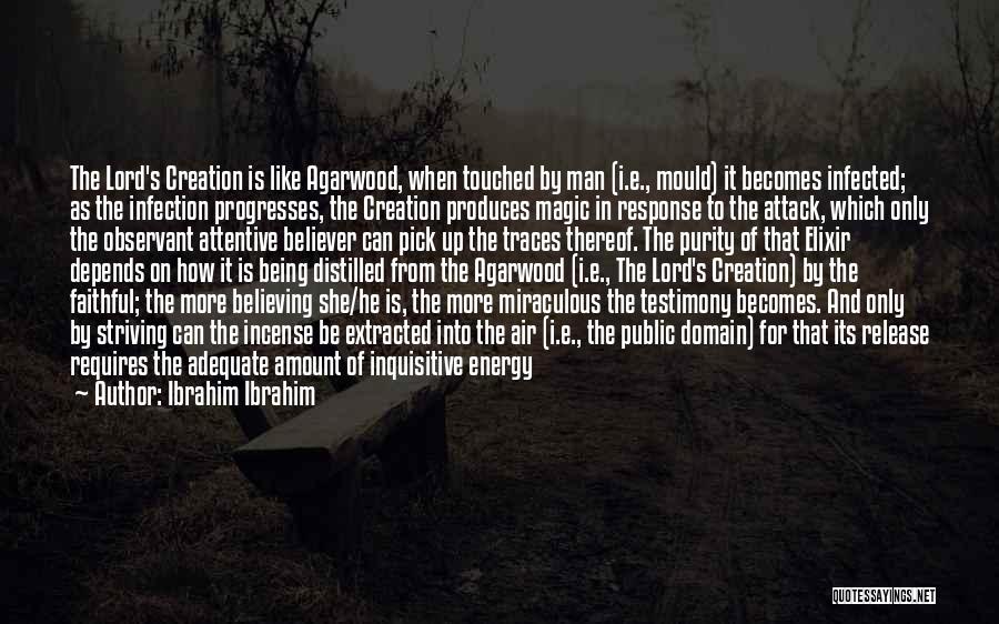 Public Domain Quotes By Ibrahim Ibrahim