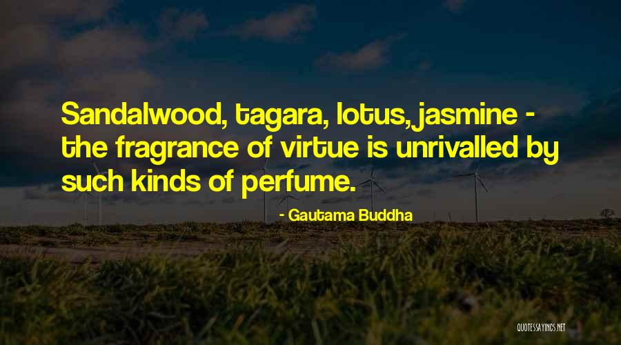 Public Education And Democracy Quotes By Gautama Buddha Public Education And Democracy Quotes By Gautama Buddha