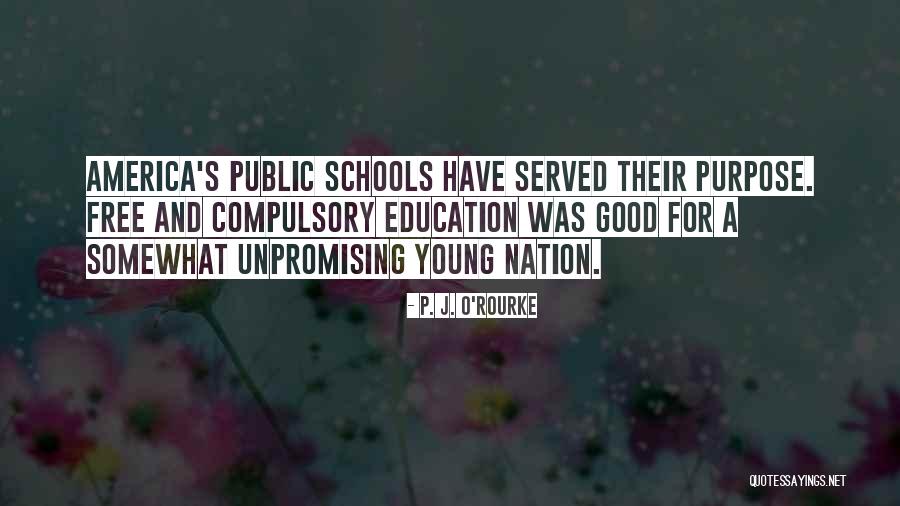 Public Education In America Quotes By P. J. O'Rourke