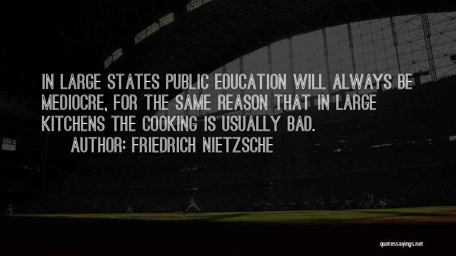 Public Education Quotes By Friedrich Nietzsche