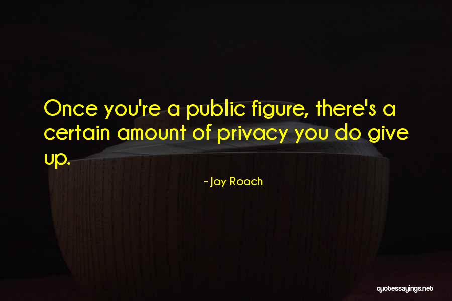 Public Figure Quotes By Jay Roach