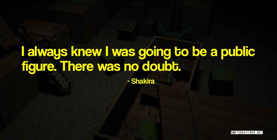 Public Figure Quotes By Shakira