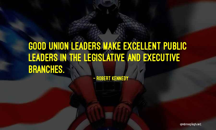 Public Good Quotes By Robert Kennedy Public Good Quotes By Robert Kennedy