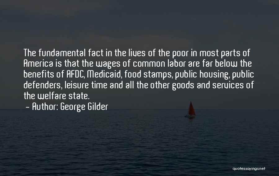 Public Goods Quotes By George Gilder