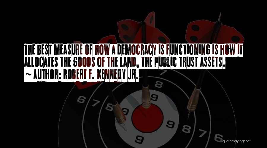 Public Goods Quotes By Robert F. Kennedy Jr.