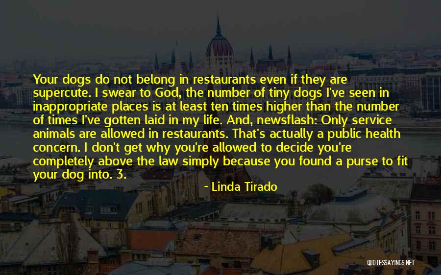 Public Health Service Quotes By Linda Tirado