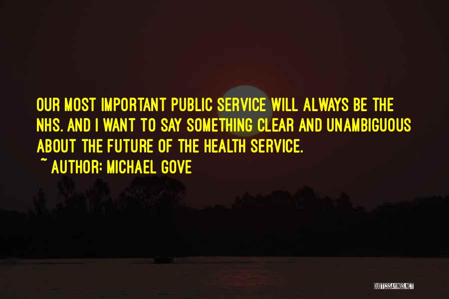 Public Health Service Quotes By Michael Gove