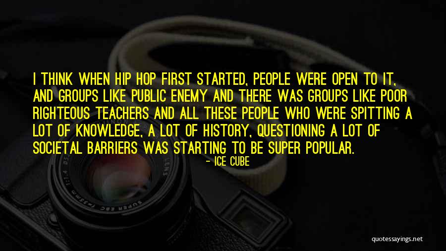 Public History Quotes By Ice Cube Public History Quotes By Ice Cube