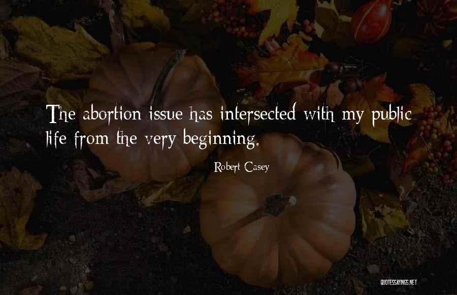 Public Life Quotes By Robert Casey Public Life Quotes By Robert Casey
