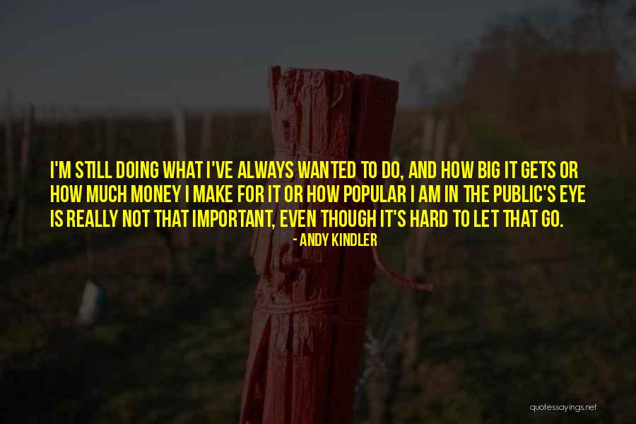 Public Money Quotes By Andy Kindler