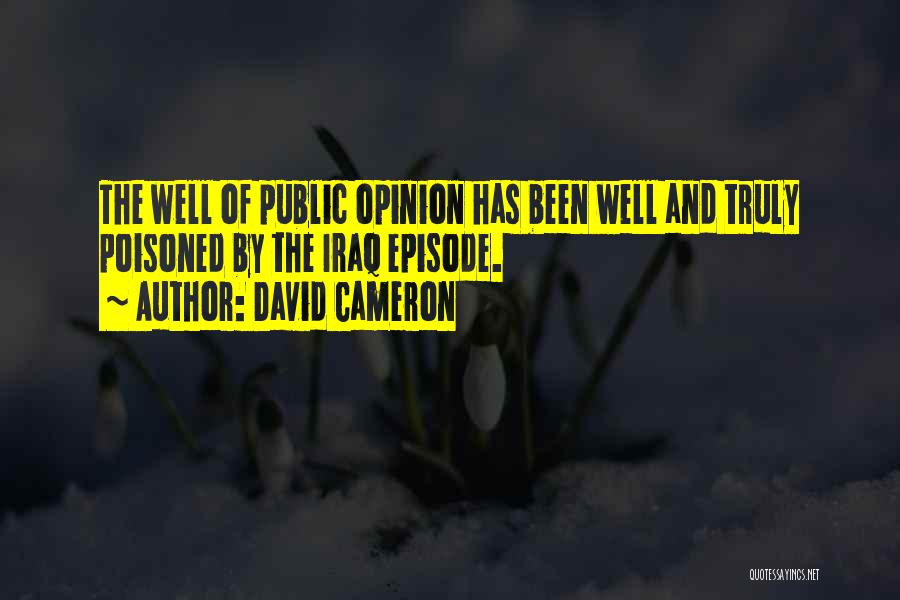 Public Opinion Quotes By David Cameron