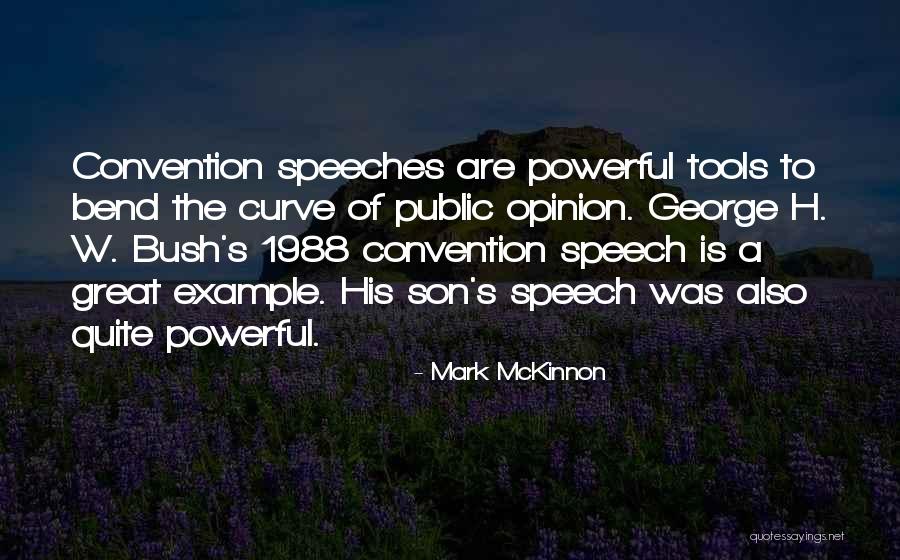 Public Opinion Quotes By Mark McKinnon Public Opinion Quotes By Mark McKinnon