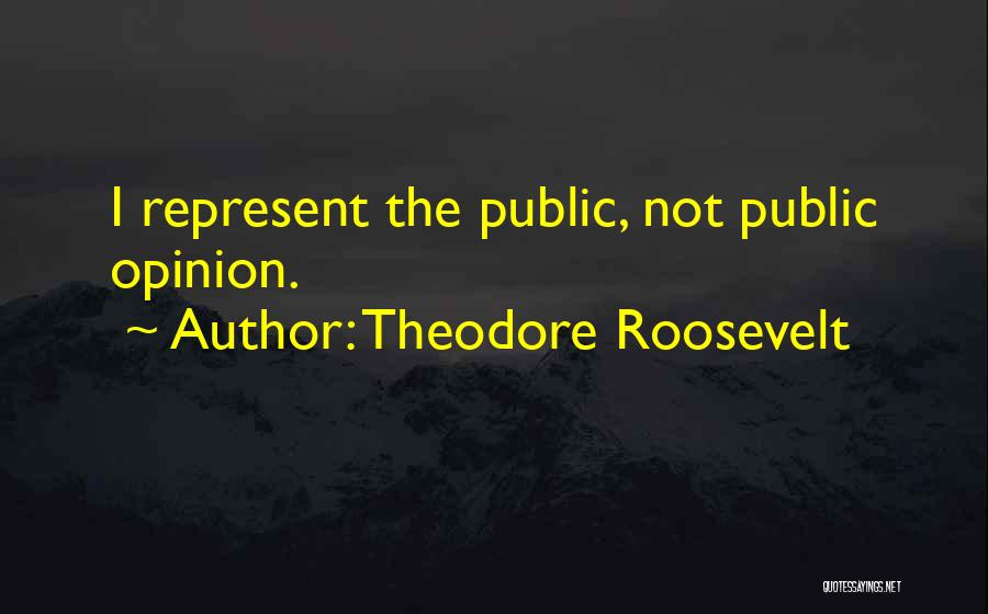 Public Opinion Quotes By Theodore Roosevelt